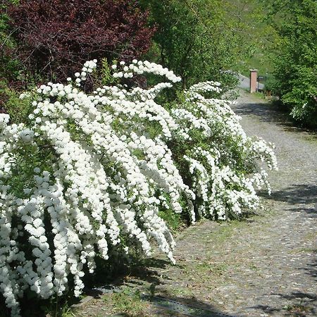 Cascina Nel Bosco Bed & Breakfast Moncucco Torinese Bagian luar foto