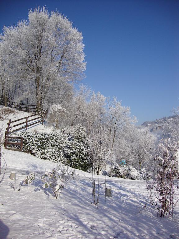 Cascina Nel Bosco Bed & Breakfast Moncucco Torinese Bagian luar foto