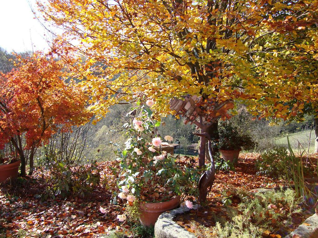 Cascina Nel Bosco Bed & Breakfast Moncucco Torinese Bagian luar foto