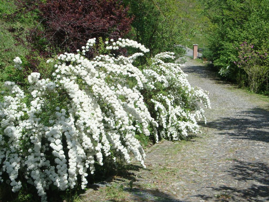 Cascina Nel Bosco Bed & Breakfast Moncucco Torinese Bagian luar foto